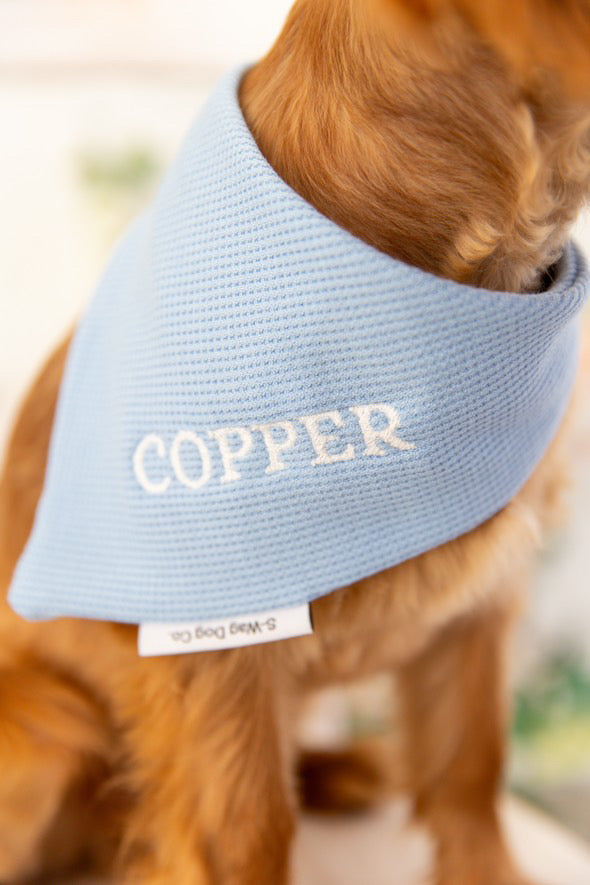 Custom Embroidered name Dog Bandana