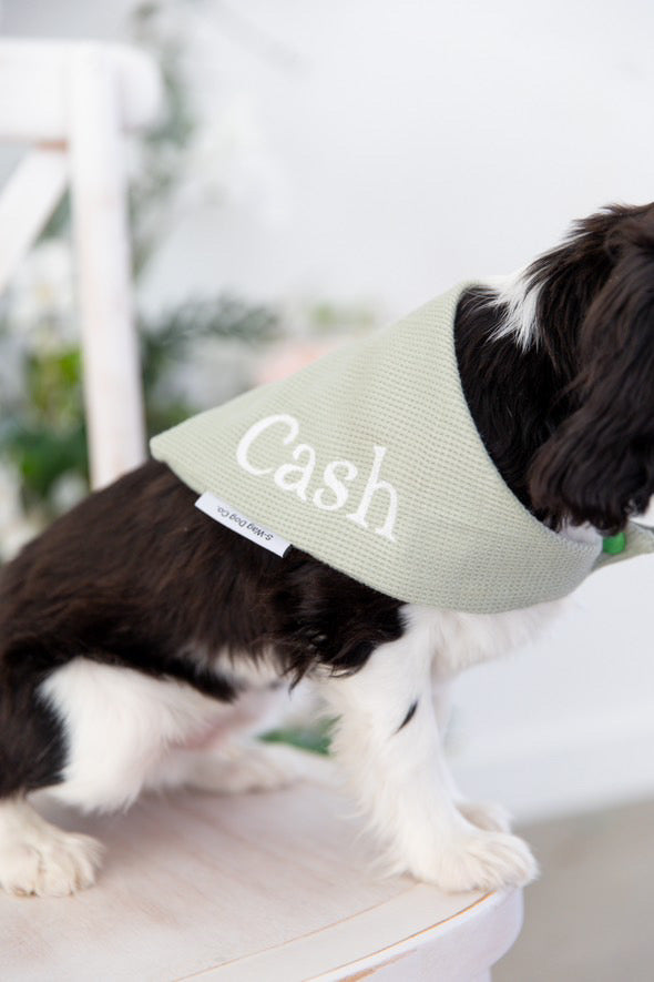 Custom Embroidered name Dog Bandana