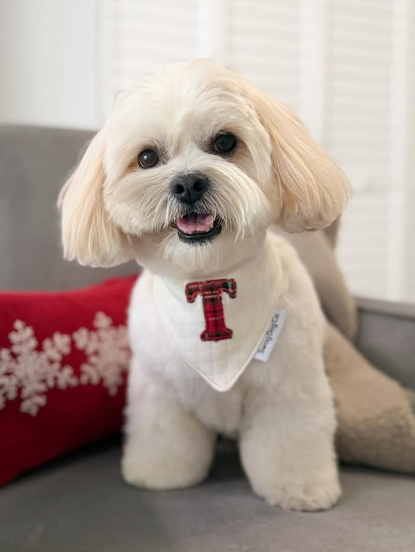 Custom Holiday Bandana