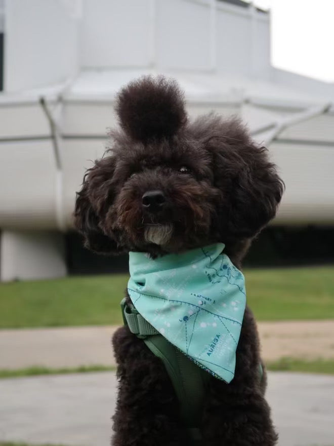 ANCESTRAL SKIES Cooling and Reversible Dog Bandana