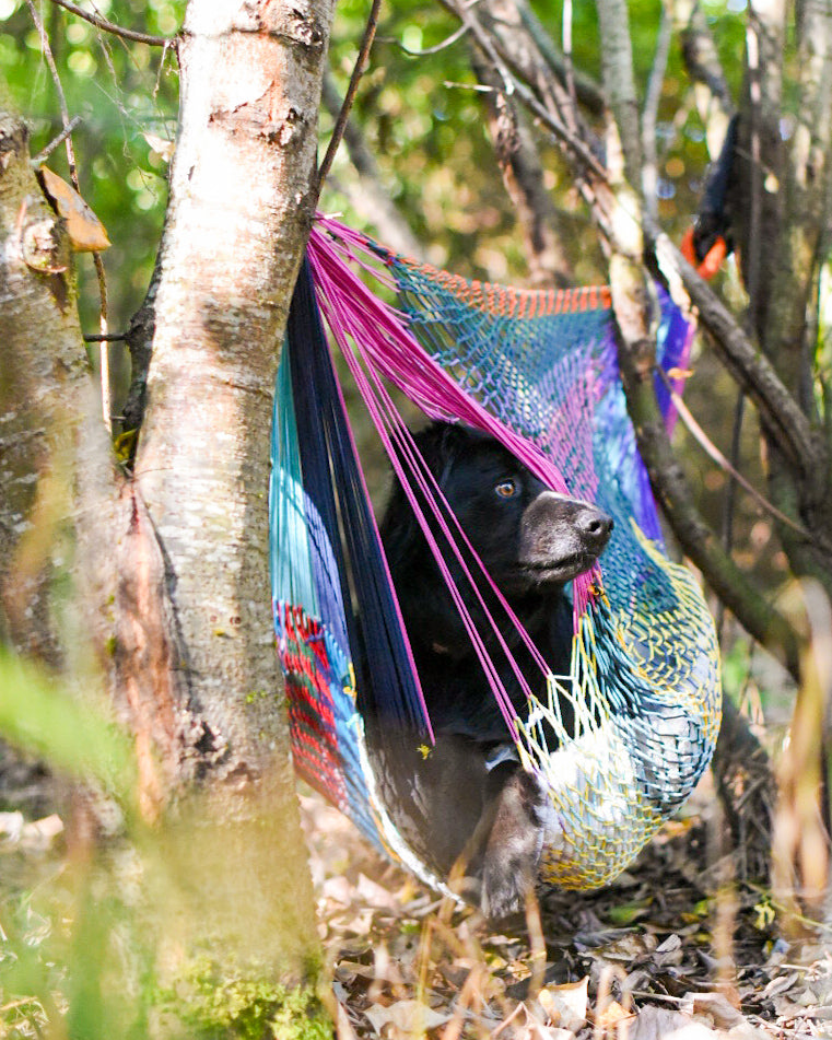 PRE-Order MINI HAMMOCK