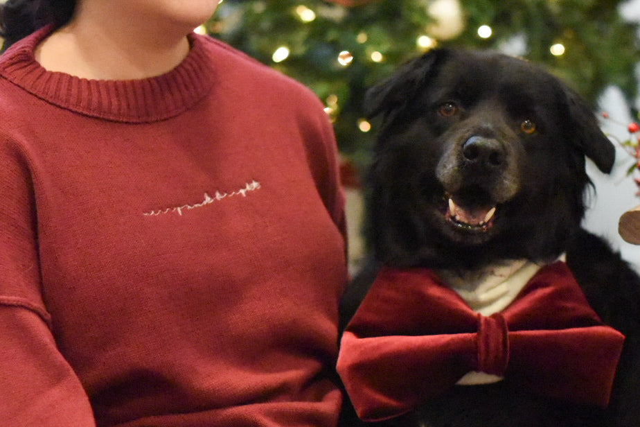 OVERSIZED Velvet Bow Bandana
