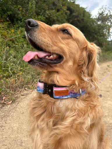 Pink/Blue Watercolor Mountains Adventure proof Dog Collar