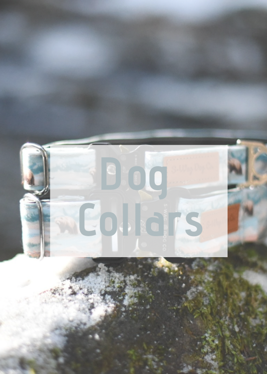 Dog Collars