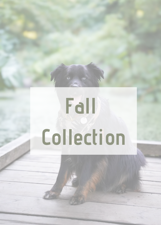 Fall Collection