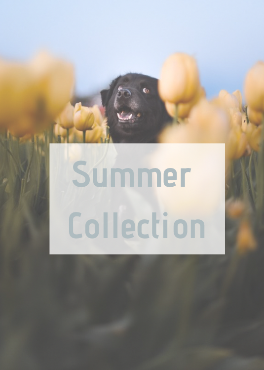 Summer Collection