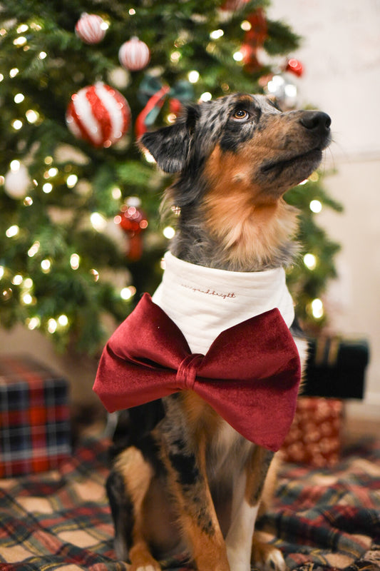 OVERSIZED Velvet Bow Bandana
