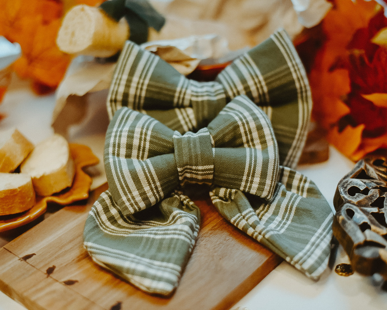 Forest Charm - Over The Collar Dog Bow