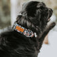 Black Aztec Water Resistant Dog Collar