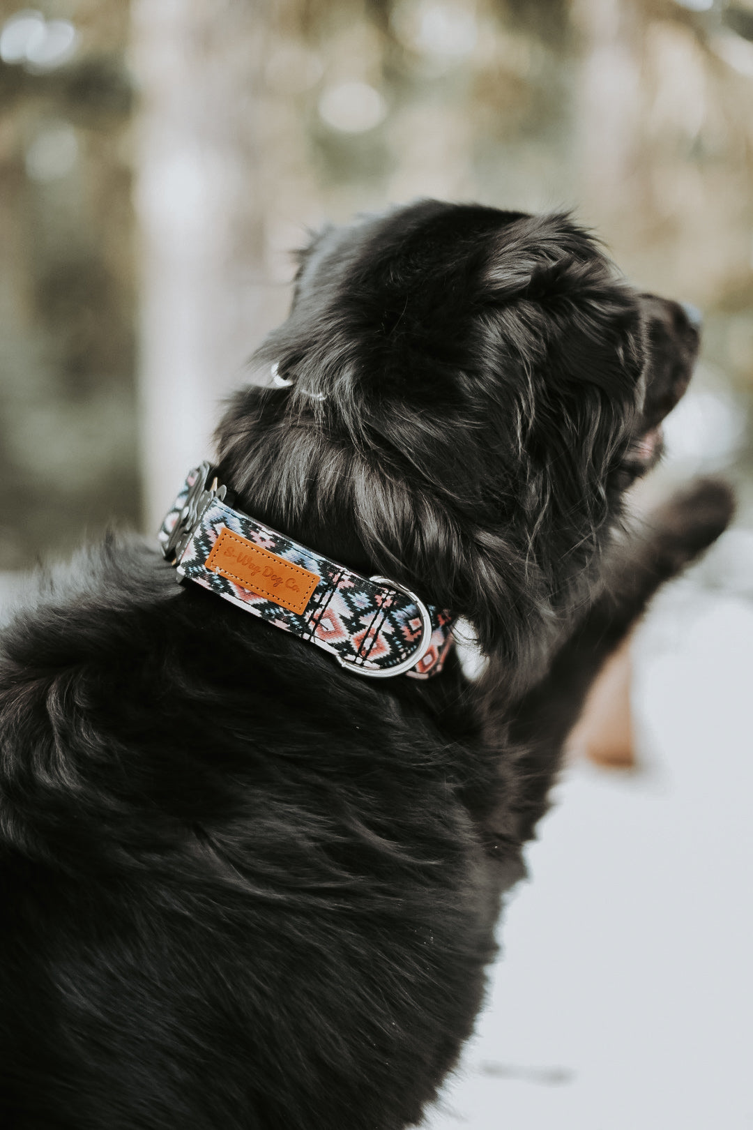 Black Aztec Water Resistant Dog Collar