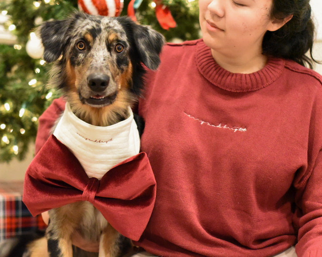 Merry and Bright - holiday sweater