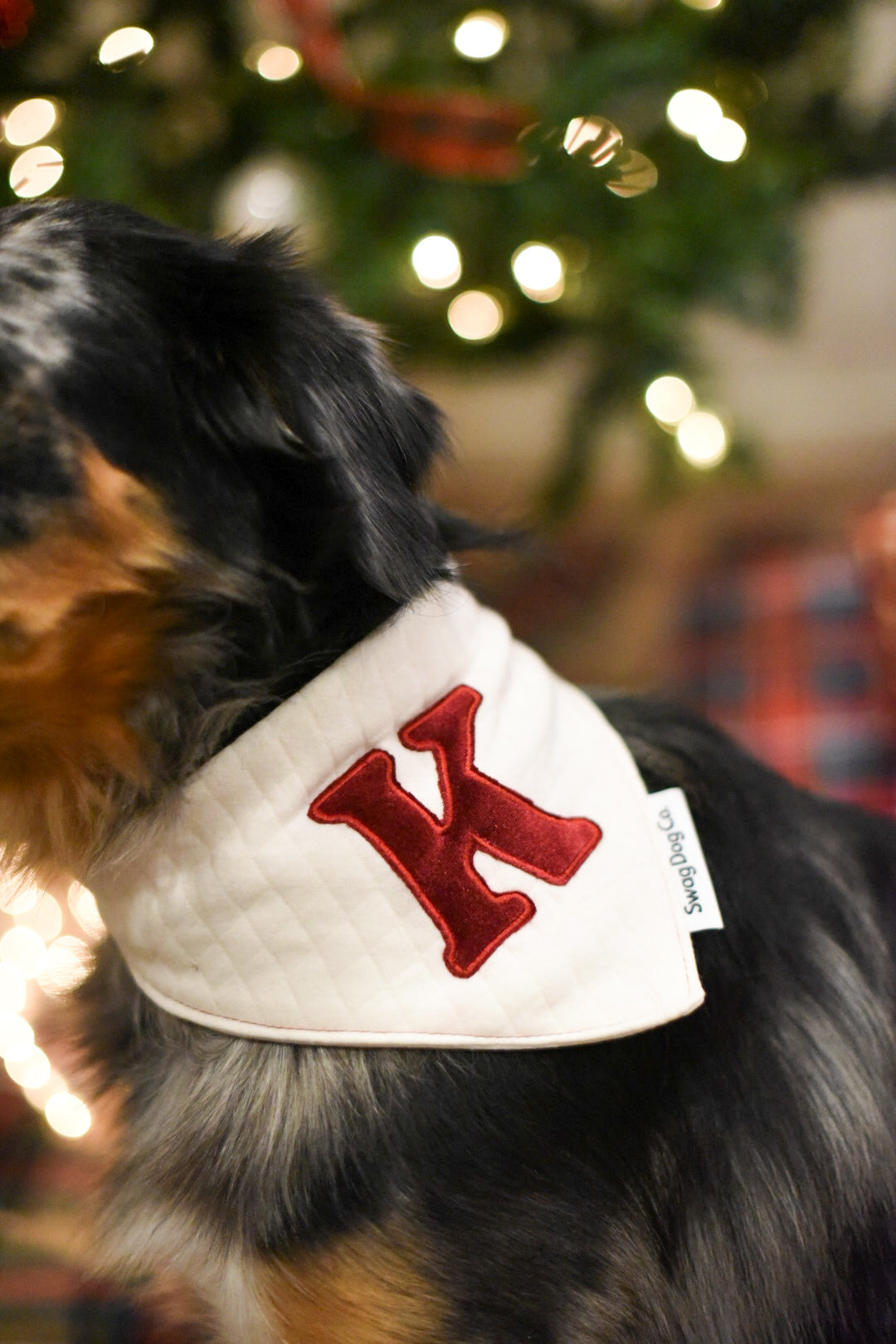 Custom Holiday Bandana