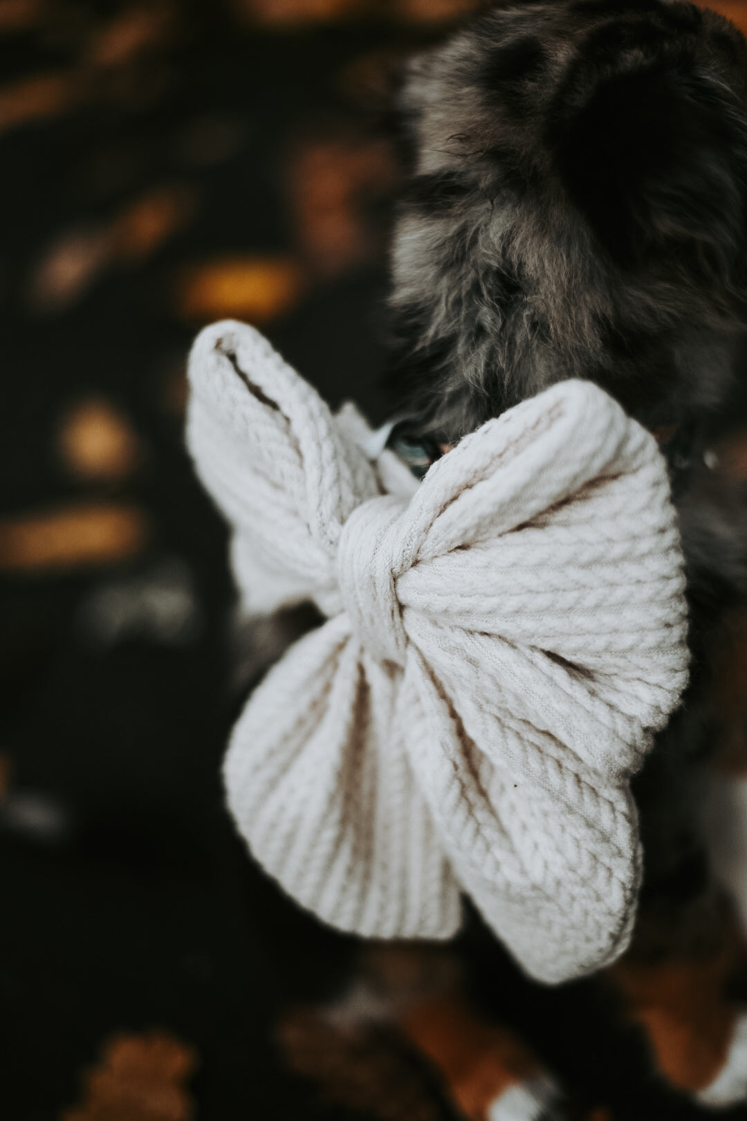 Cream Knit Over The Collar Dog/Cat Bow