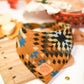 Desert Sunset Dog Bandana