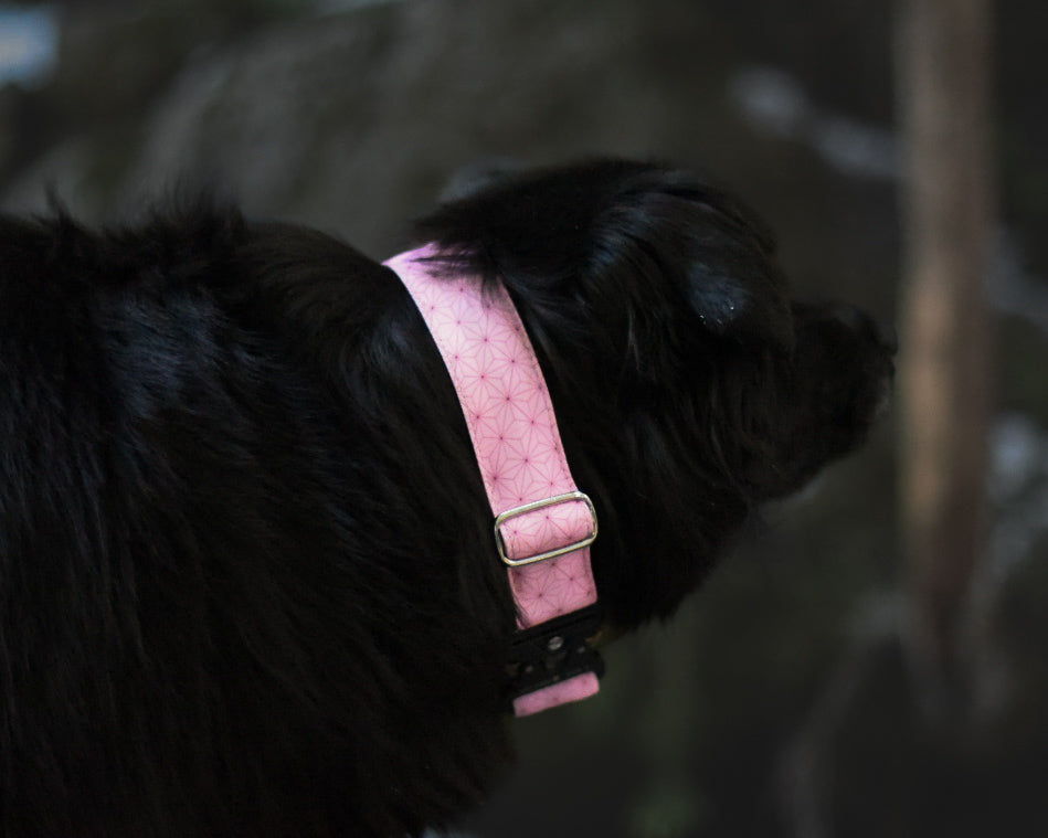 Pink Abstract Nezuko Print Water Resistant Dog Collar