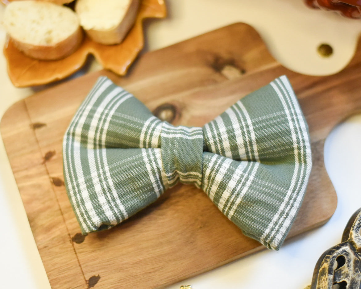 Forest Charm - Over The Collar Dog Bow