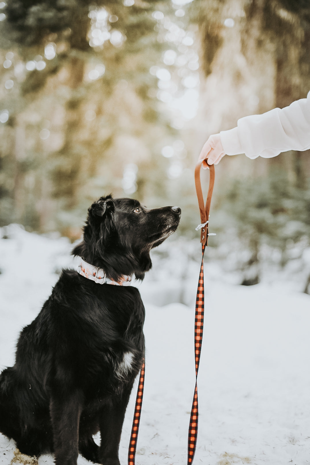 Black Aztec Hybrid Biothane Leash