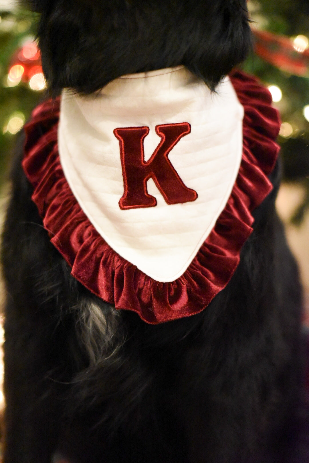 Custom Holiday Bandana