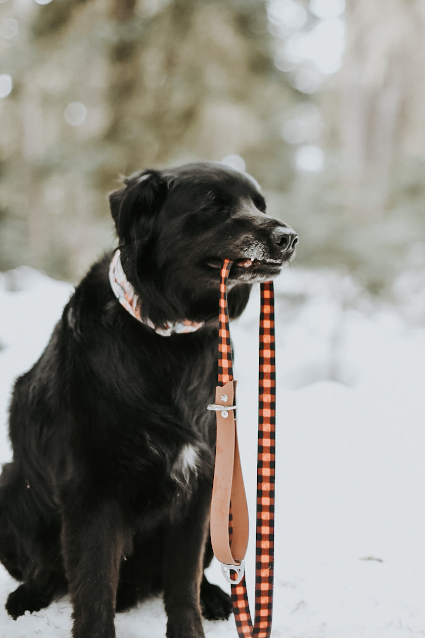 Black Aztec Hybrid Biothane Leash