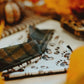 Paw prints and plaid
