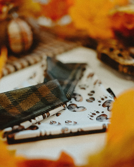 Paw prints and plaid