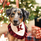 Custom Holiday Bandana