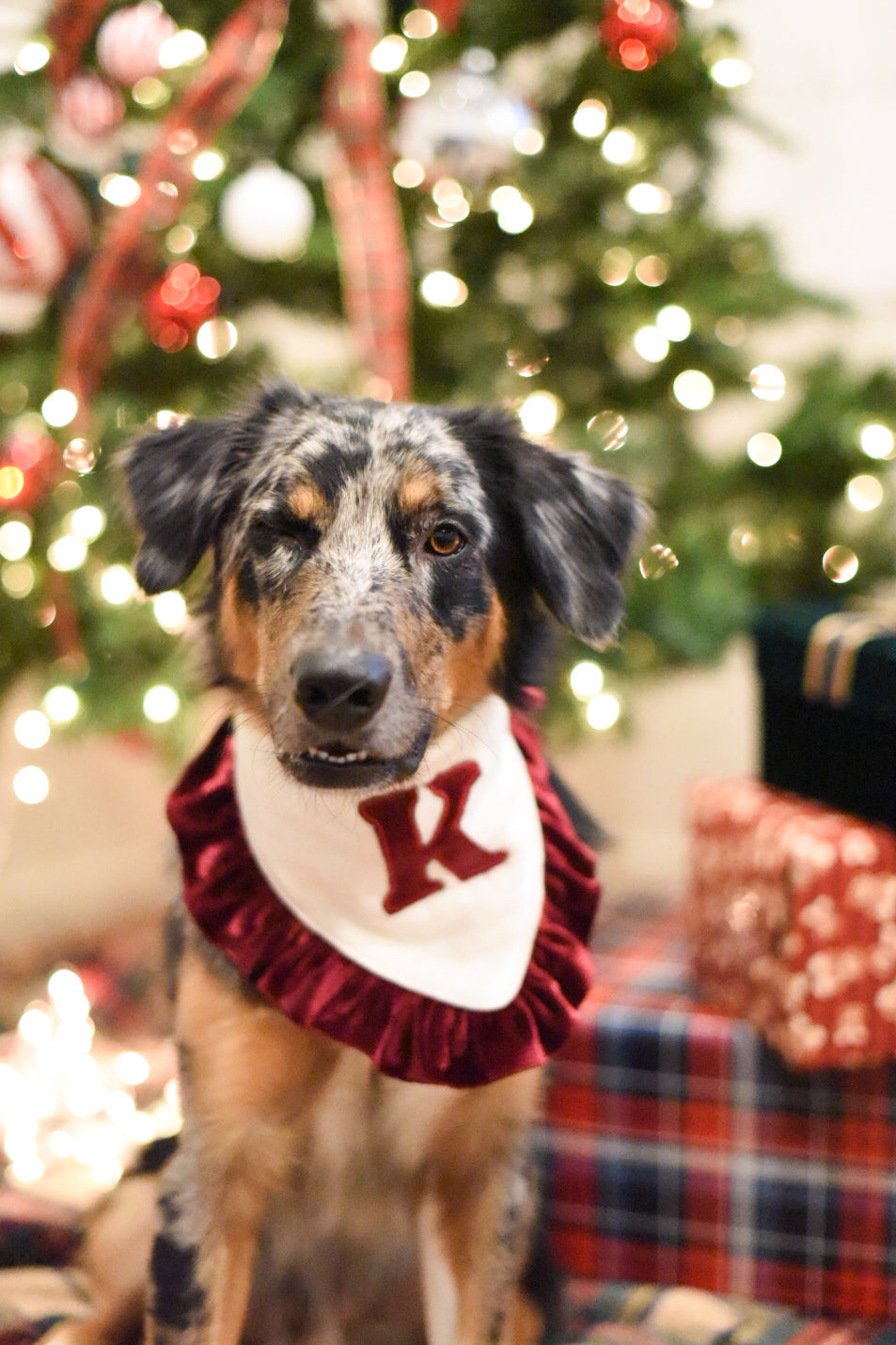 Custom Holiday Bandana