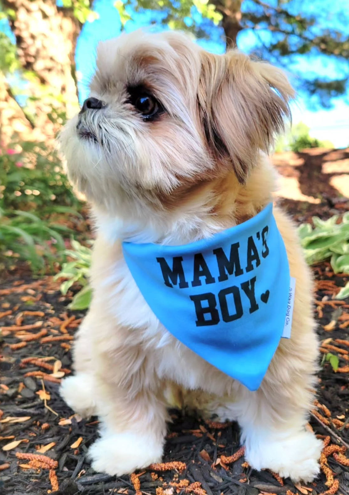 MAMAS BOY and sail boats Reversible Dog Bandana