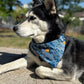 STARLIT SUMMIT Cooling and reversible Dog Bandana