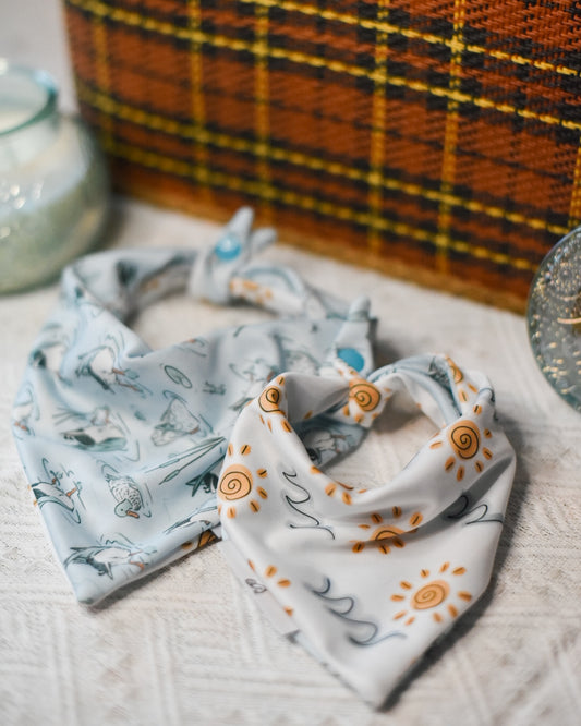 Duck Butts and Sunshine Reversible Dog Bandana
