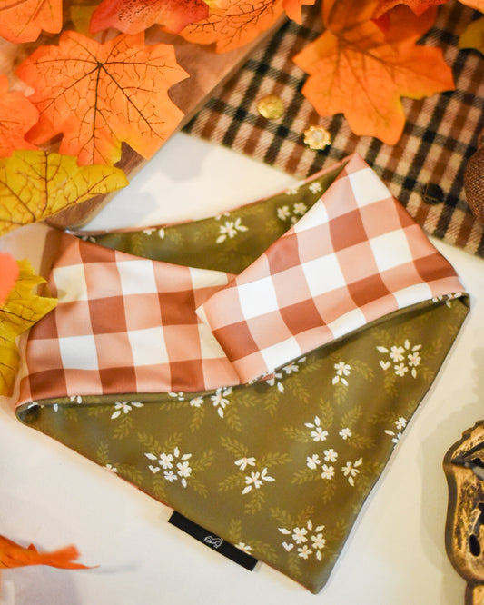 Fall into fall