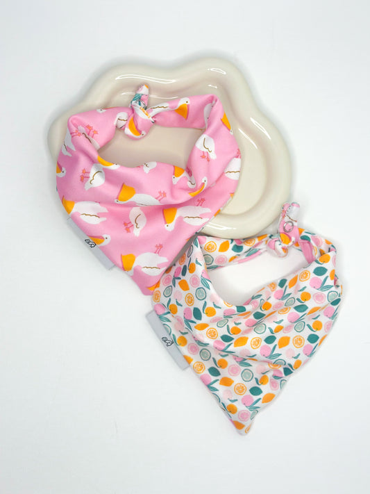 Pink Pelican and Citrus Dog bandana