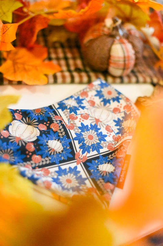 Pumpkins and fall leaves