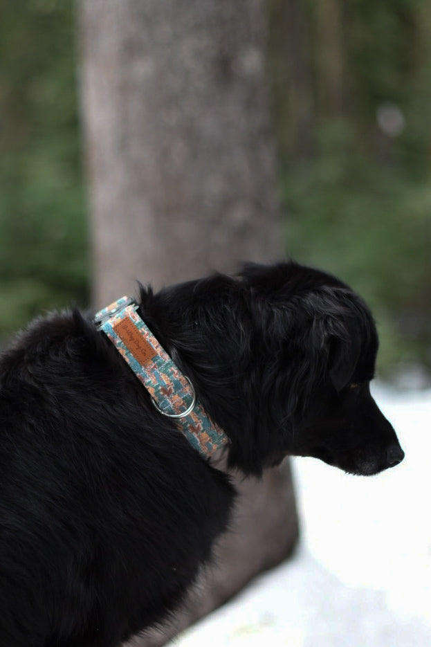 Adventure camping and moose dog collar, boy dog collar