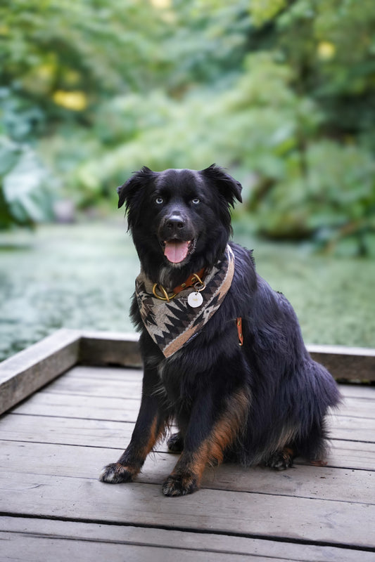 Neutral Brown Aztec Wool Dog Bandana