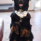 ADVENTURER Cooling and Reversible Dog Bandana