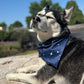 STARLIT SUMMIT Cooling and reversible Dog Bandana