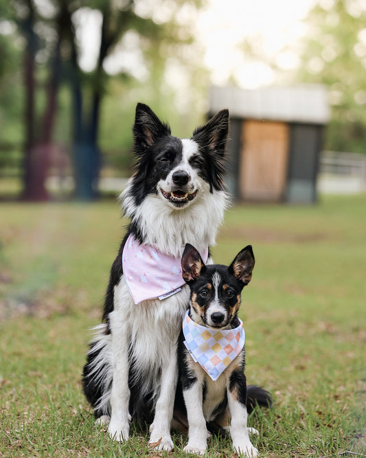 Pink Goose and Checker Reversible Dog Bandana