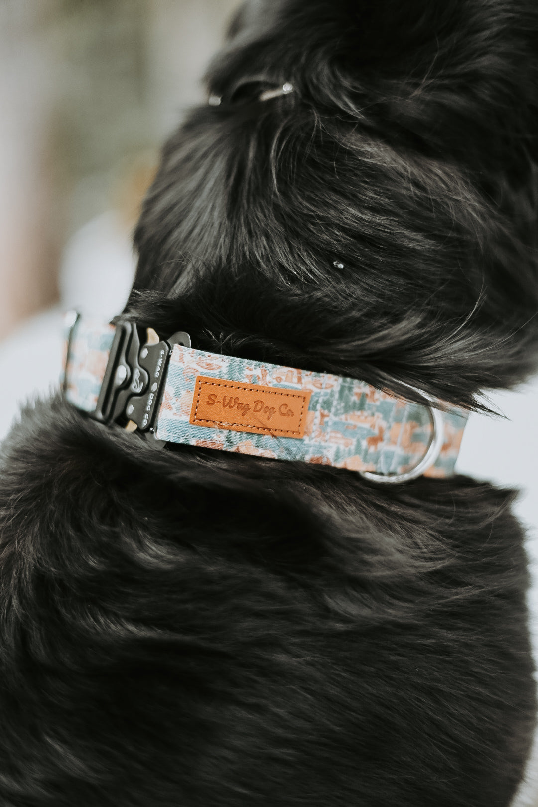 Adventure camping and moose dog collar, boy dog collar