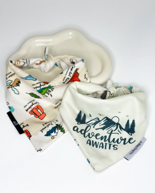 Adventure Awaits/ National Park Reversible dog Bandana