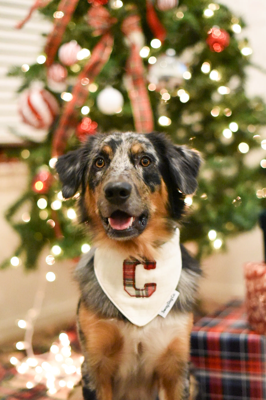 Custom Holiday Bandana