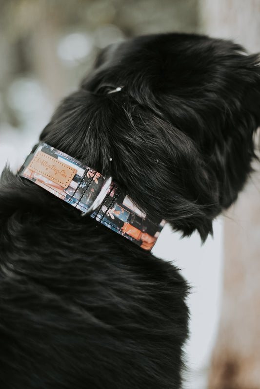 Midnight reads, books and flower aesthetic dog collar