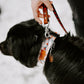 Black Aztec Hybrid Biothane Leash