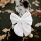 Cream Knit Over The Collar Dog/Cat Bow