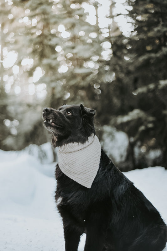 Basic Neutral Knit Look Dog bandana