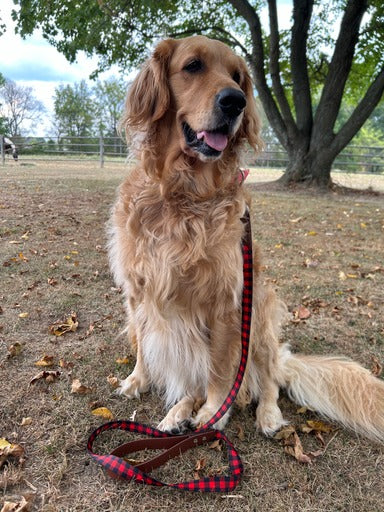 Buffalo plaid hybrid biothane dog leash