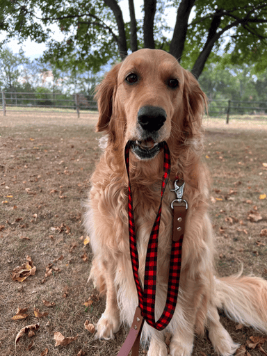 Buffalo plaid hybrid biothane dog leash