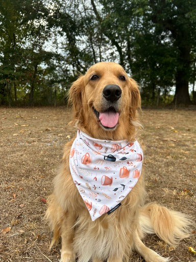 Coffee/Pup Cup Dog bandana