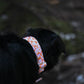 Orange and Pink Floral Checkered Water Resistant Dog Collar